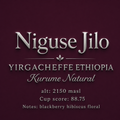 Niguse Jilo Ethiopian light roast coffee bag - Kame Roastery